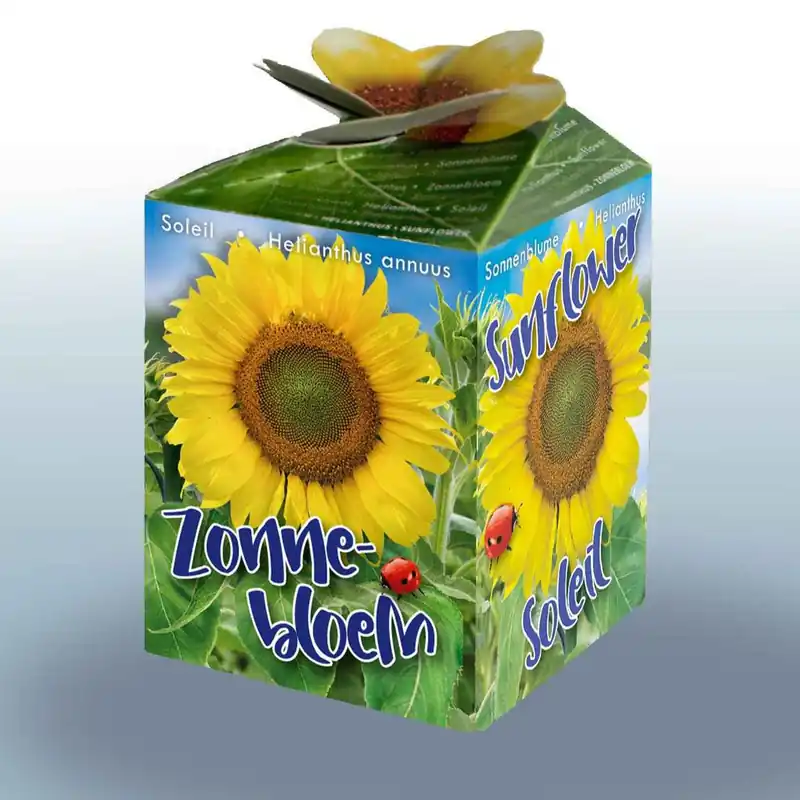 Sonnenblumen-Set Top-Angebot