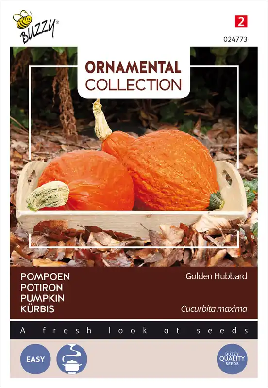Sonderangebot Kürbis Golden Hubbard | Hubbardkürbissamen von Buzzy Seeds