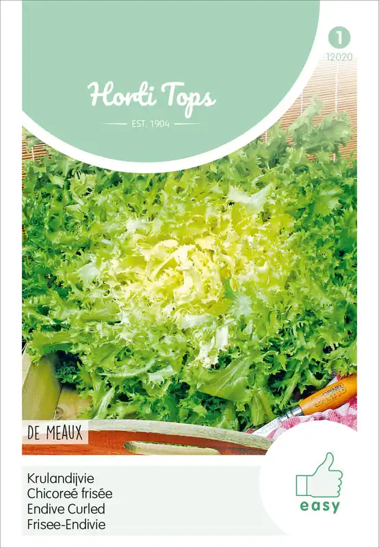 Frisee Endivie De Meaux | Endiviensalatsamen von Hortitops Schnäppchen