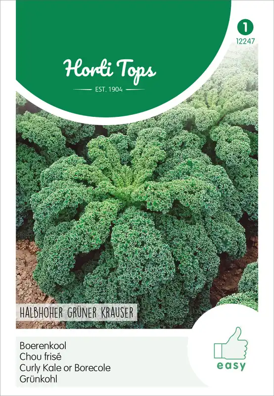 Kostenfreie Lieferung Grünkohl Halbhoher Grüner Krauser | Grünkohlsamen von Hortitops