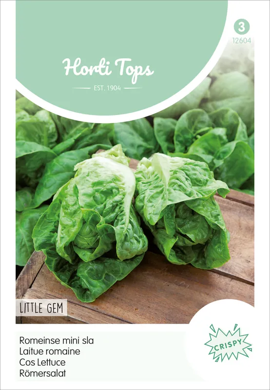 Expressversand Salat Little Gem | Salatsamen von Hortitops