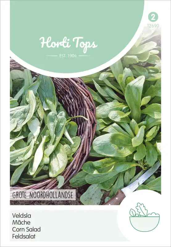 Zertifiziert Feldsalat Holländischer Breitblättriger | Feldsalatsamen von Hortitops