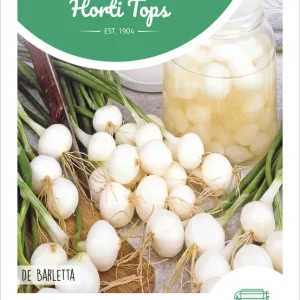 Zwiebeln Barletta | Zwiebelsamen von Hortitops Preisreduziert