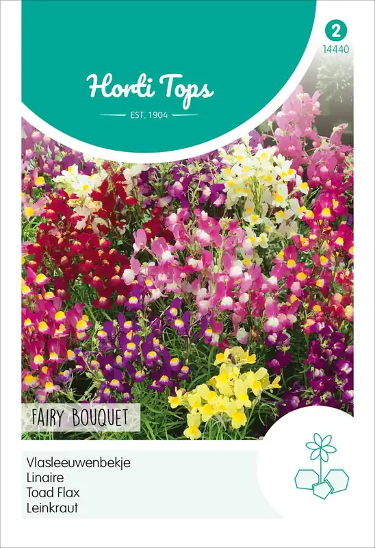 Kostenloser Versand Leinkraut Feenstrauß Mischung | Blumensamen von Hortitops