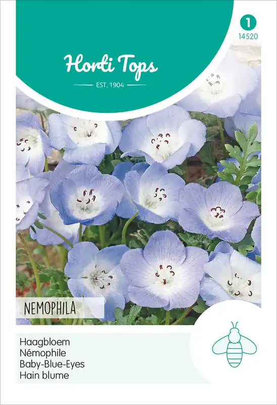 Jetzt Bestellen Hain Blume Blau | Blumensamen von Hortitops