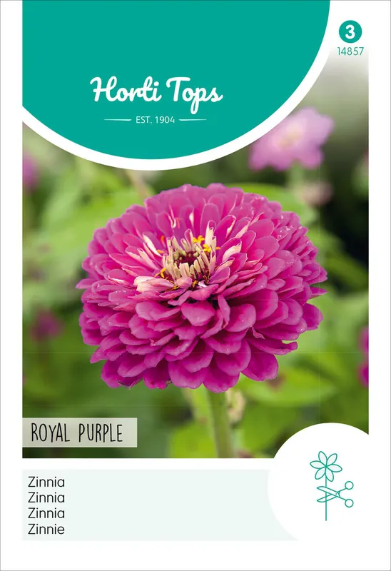 Top-Seller Zinnie Royal Purple | Blumensamen von Hortitops