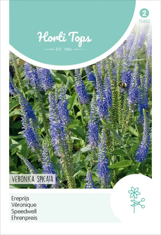 Abverkauf Ehrenpreis Blau | Blumensamen von Hortitops