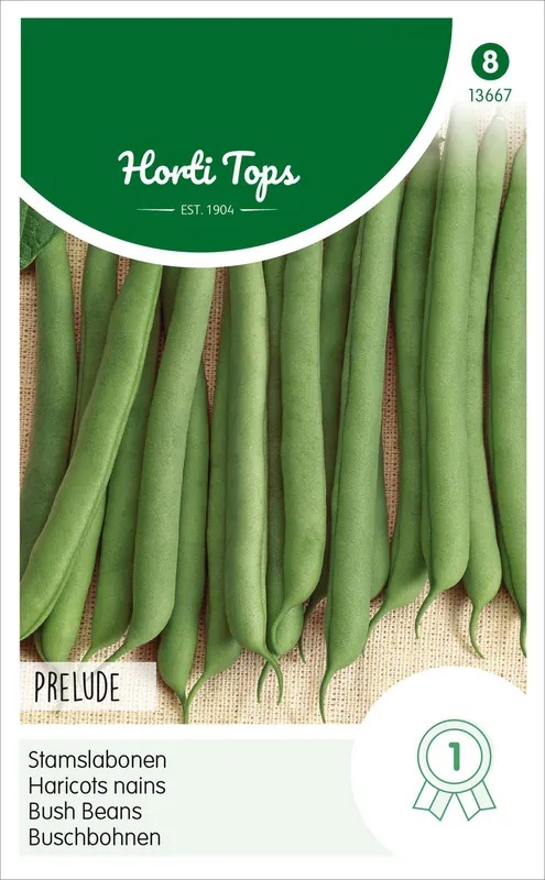 Buschbohne Prelude (250 g) | Buschbohnensamen von Hortitops Günstig