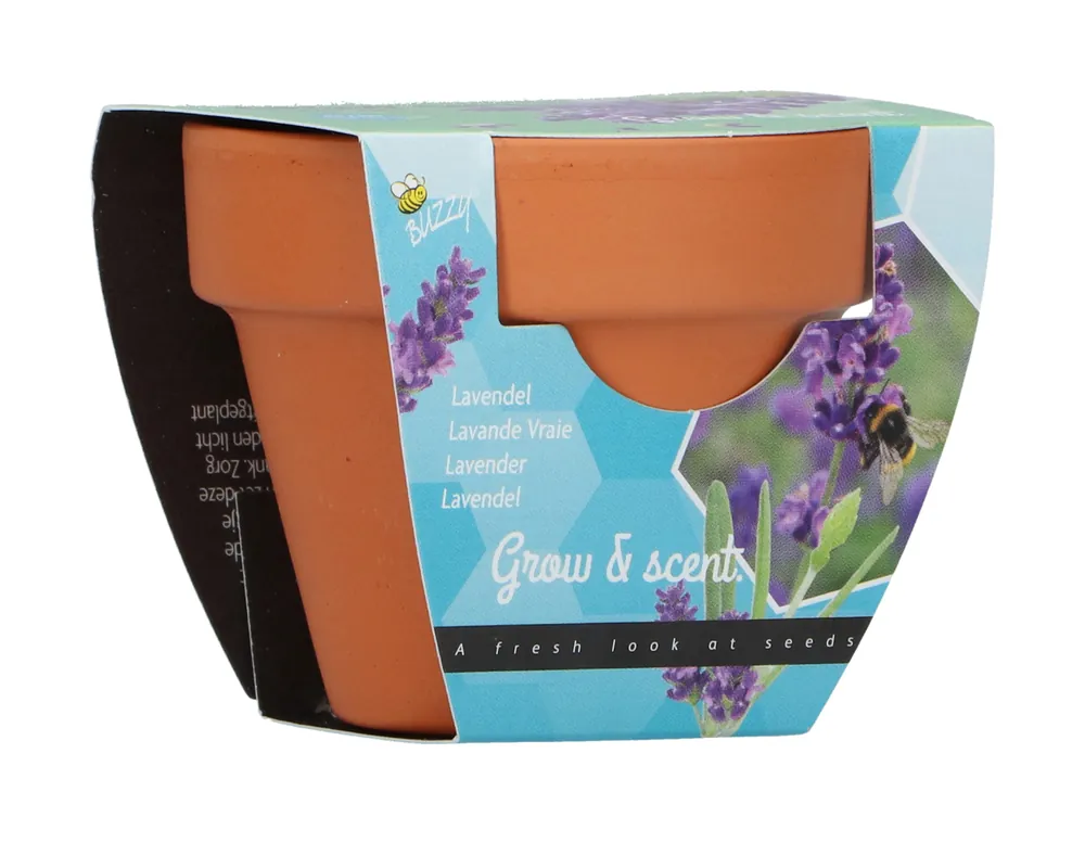 Top-Seller Anzuchtset Lavendel | Anzuchtsets von Buzzy Gifts