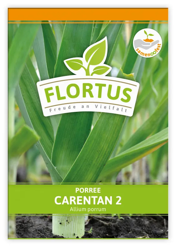Lauch-Porree Carentan 2 | Lauchsamen von FLORTUS Begrenztes Angebot