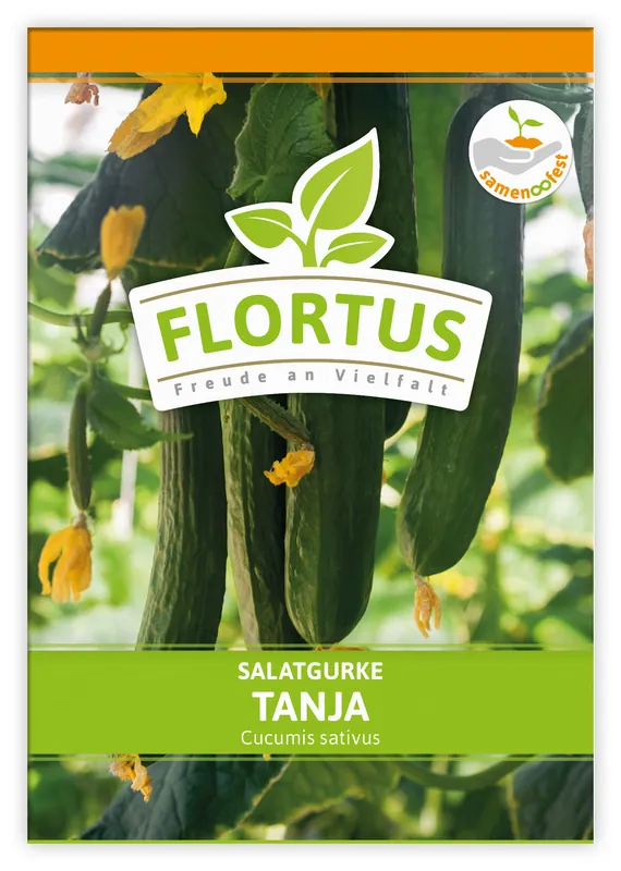 Salatgurke Tanja | Salatgurkensamen von FLORTUS Gratis Versand