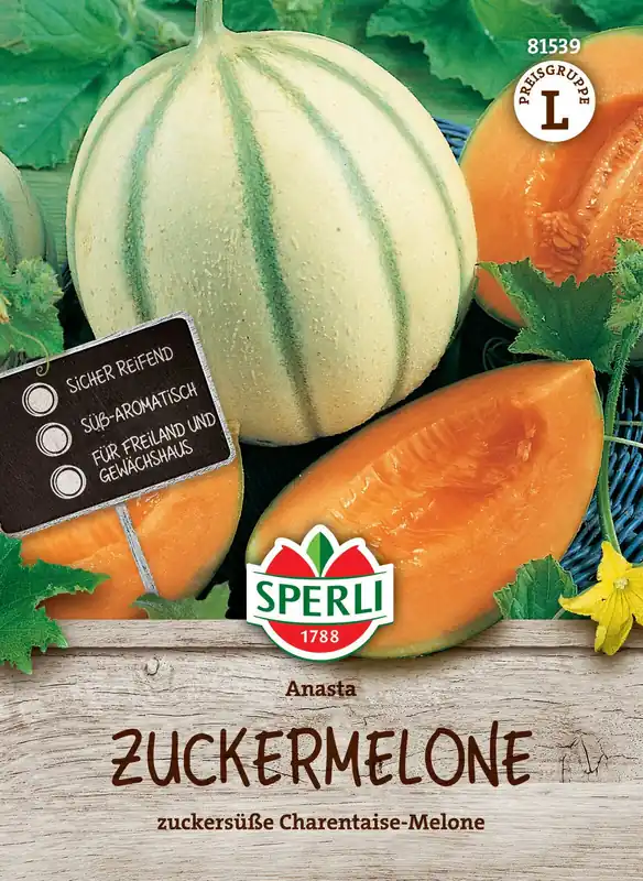 Zuckermelone Anasta F1 | Zuckermelonensamen von Sperli Versand Am Gleichen Tag