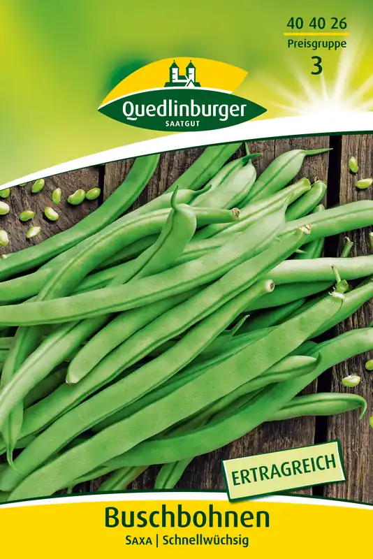 Buschbohne Saxa | Buschbohnensamen von Quedlinburger Jetzt Bestellen