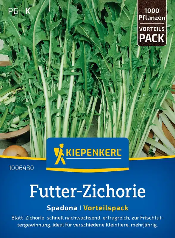 Futter-Zichorien Spadona (30 g) | Gründünger von Kiepenkerl Preisknaller