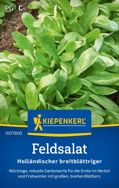 Neue Ware Feldsalat Holländischer breitblättriger | Feldsalatsamen von Kiepenkerl
