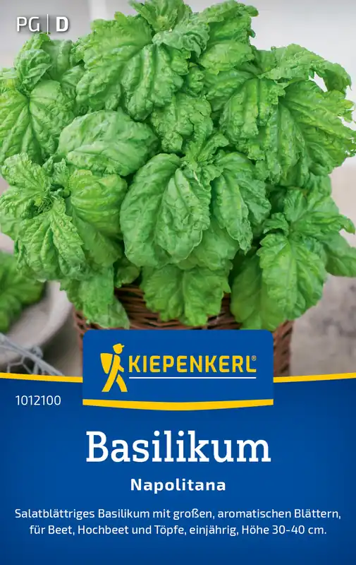 Neue Ware Basilikum Napolitana | Basilikumsamen von Kiepenkerl