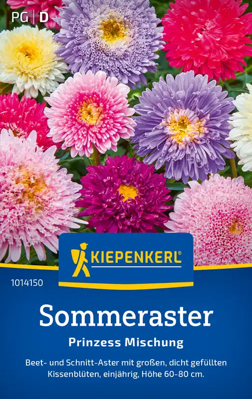 Abverkauf Sommeraster Prinzess Mischung | Asternsamen von Kiepenkerl
