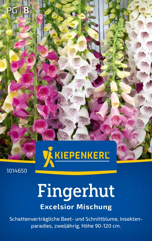 Saisonangebot Fingerhut Excelsior Mischung | Fingerhutsamen von Kiepenkerl