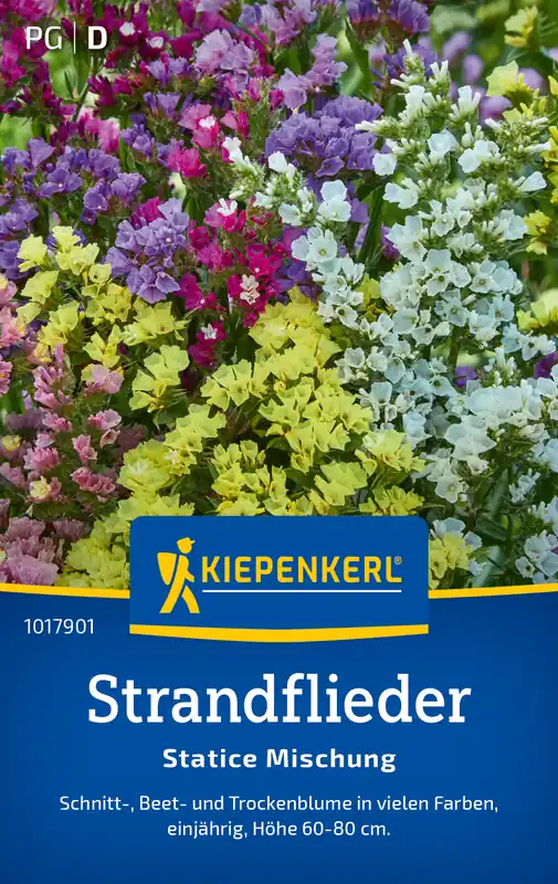 Strandflieder Statice Mischung | Blumensamen von Kiepenkerl Preisknaller