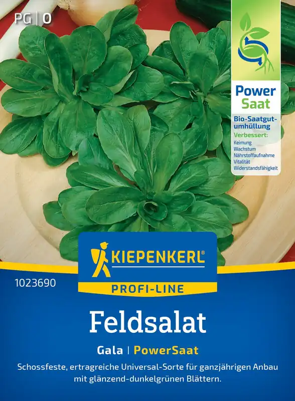 Feldsalat Gala (PowerSaat) | Feldsalatsamen von Kiepenkerl Billig