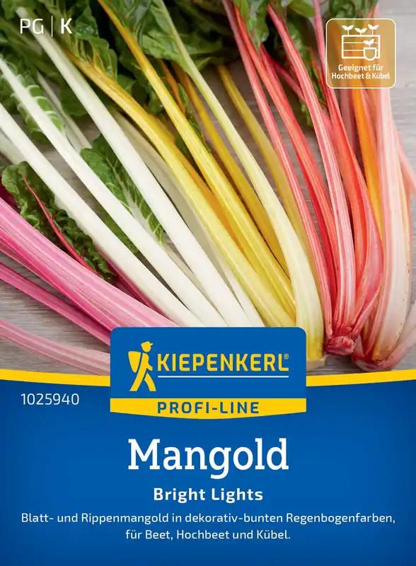 Zertifiziert Mangold Bright Lights | Mangoldsamen von Kiepenkerl