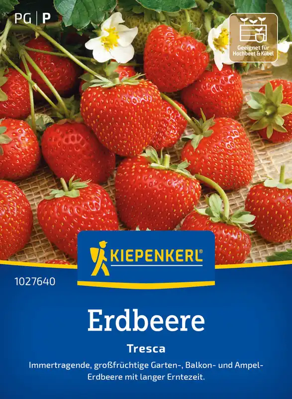 Erdbeer Tresca | Erdbeersamen von Kiepenkerl Versand Am Gleichen Tag