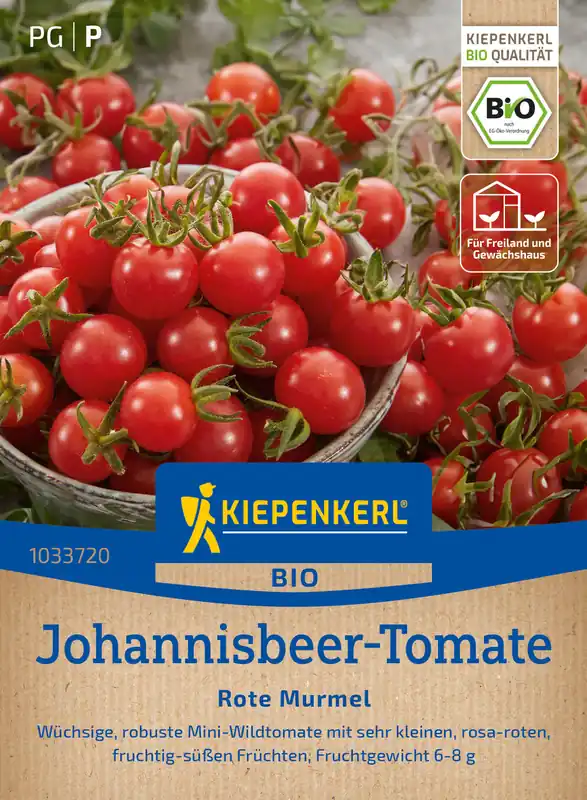 Johannisbeer-Tomate Rote Murmel | BIO Kirschtomatensamen von Kiepenkerl Schnäppchen