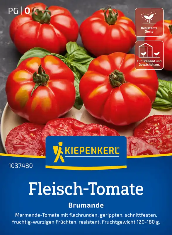 Super-Preis Fleisch-Tomate Brumande F1 | Fleischtomatensamen von Kiepenkerl