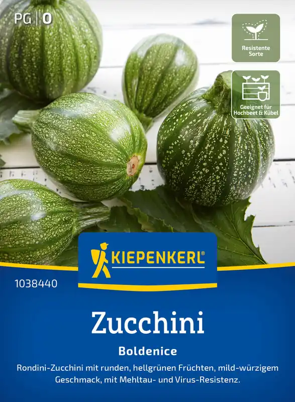 Rabatt Zucchini Boldenice F1 | Zucchinisamen von Kiepenkerl