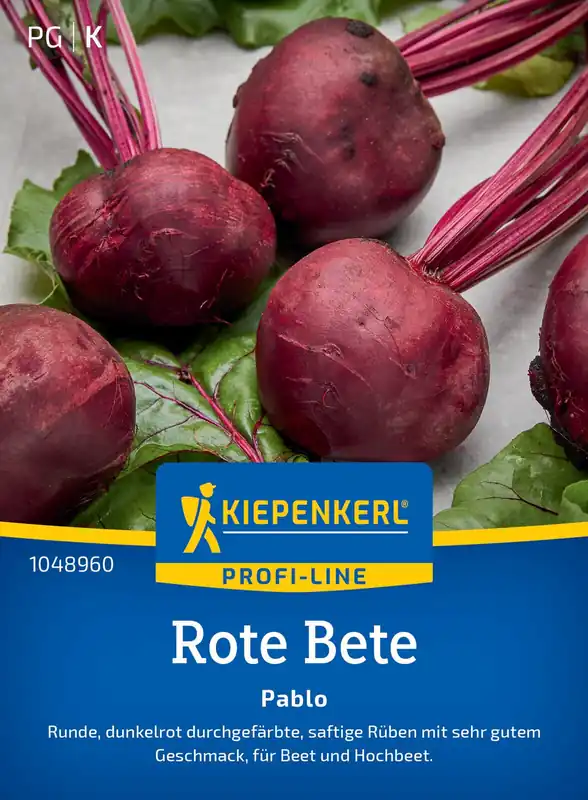Neue Kollektion Rote Bete Pablo F1 | Rote Beetesamen von Kiepenkerl