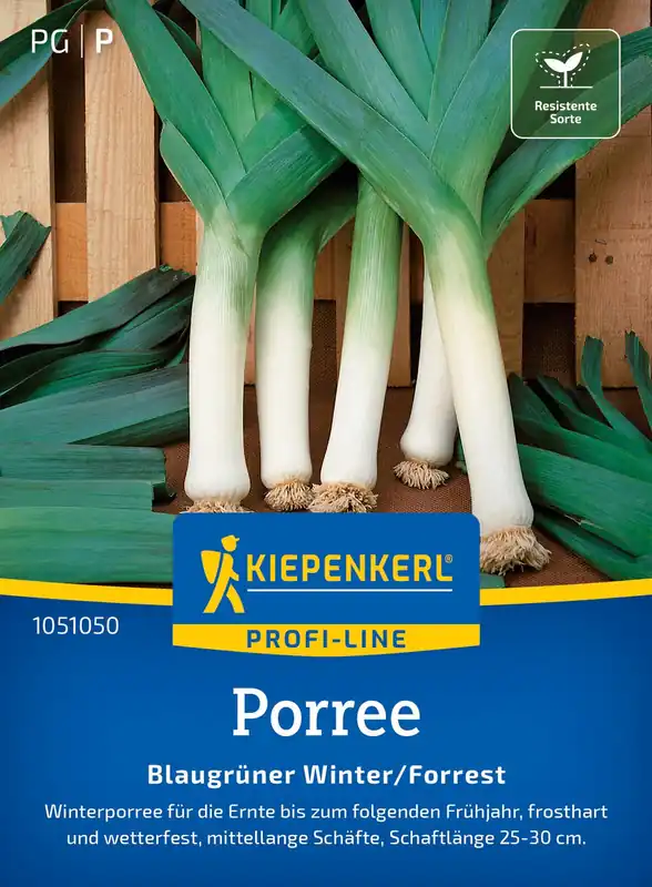 Porree Blaugrüner Winter/Forrest | Lauchsamen von Kiepenkerl Expressversand