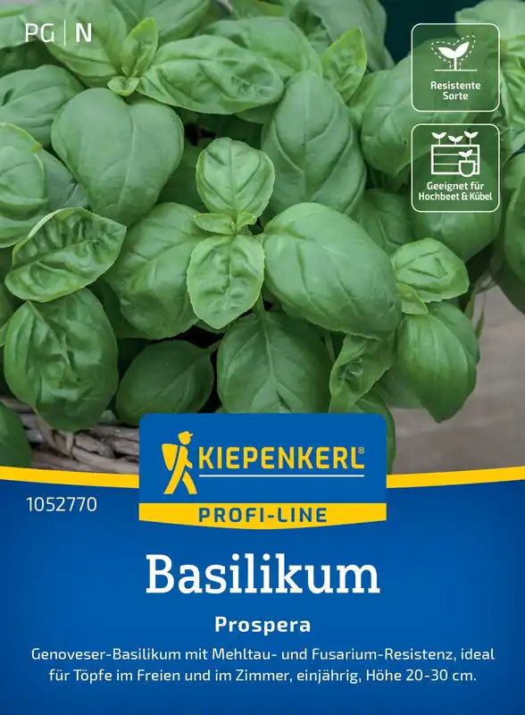 Preisreduziert Basilikum Prospera F1 | Basilikumsamen von Kiepenkerl
