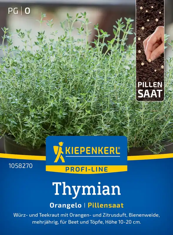 Preis Gesenkt Thymian Orangelo | Thymiansamen von Kiepenkerl
