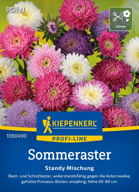 Sommeraster Standy Mischung | Asternsamen von Kiepenkerl Gratis Versand