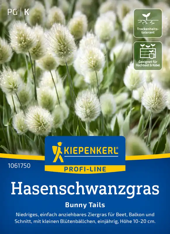 Hasenschwanzgras Bunny Tails | Blumensamen von Kiepenkerl Mega-Angebot