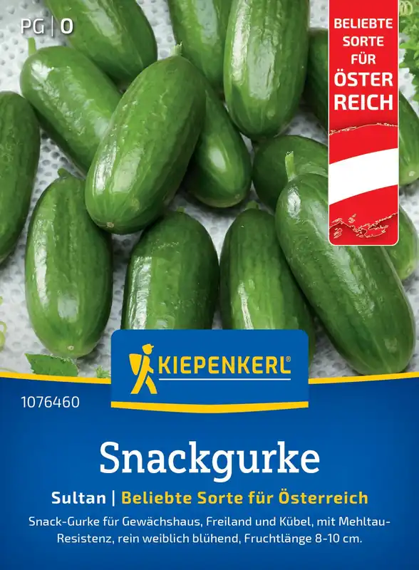 Super-Preis Snackgurke Sultan, F1 (Regional AT) | Gurkensamen von Kiepenkerl